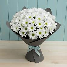 Букет цветов из:  Хризантемы #REPLACE_PRED# Исток