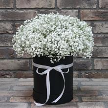 Цветочная композиция из Гипсофила в шляпной коробке в Исток
